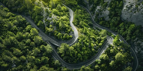 A scenic view of a winding road surrounded by dense forest, suitable for travel or adventure concepts