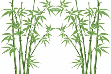 Graceful composition of bamboo stalks in a serene setting