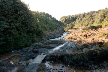 hiking trail through the wetlands on the mountain