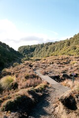 hiking trail through the wetlands on the mountain