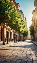 Fototapeta premium Cobblestone Street in European City.