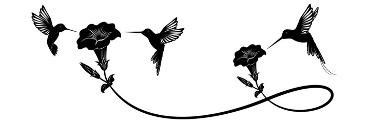hummingbird and flower vector