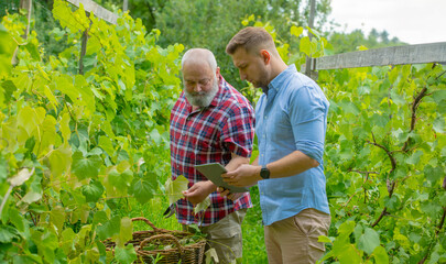 father and son in the vineyard using a tablet