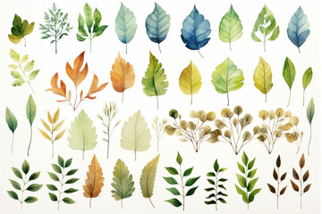 Fototapeta premium 水彩調の落ち葉のイラストレーション