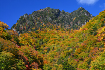 山梨県・紅葉の鶏冠山（とさかやま）