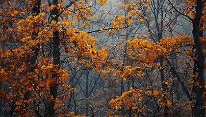 Muted autumnal tones blending seamlessly, reminiscent of a peaceful forest in fall.