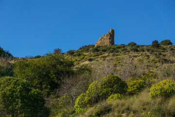 Fototapeta premium Green coastal landscape at nature reserve of Torre Salsa with ancient watch tower ruin on a sunny day, Sicily, Italy