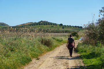 Road with hiking person leads to hill with farm and farming plantation at nature reserve of Torre Salsa in the rural countryside of Sicily, Italy