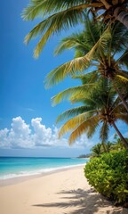 Tropical Paradise Beach with Palm Trees and Blue Sky.