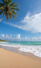 Tropical Beach with Palm Tree and Blue Sky.