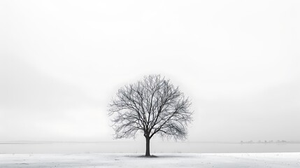 Single tree gray background