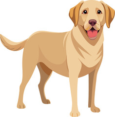 Labrador Retriever  Dog  vector style,Clipart , Illustration with white background