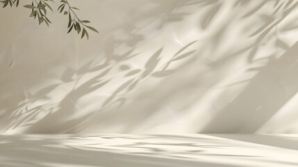 Empty Room with Nature Shadows on the Wall.