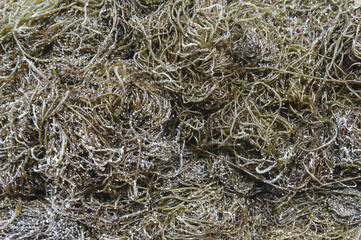 Close-up of stacked raw salted sea strings, South Korea
