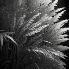 Monochrome Bamboo Leaves In Dark Background.