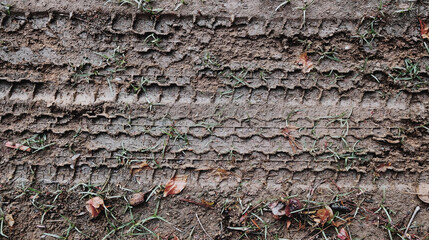 Background traces of tires or car wheels on wet mud