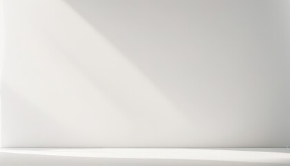 Realistic and minimalist blurred natural light windows, leaves shadow overlay on wall paper texture, abstract background, summer, spring, autumn for product presentation podium and mockup11