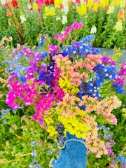 Colourful bouquet of statice flowers in the garden