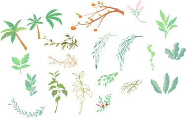 Plants, seasons, leaves,