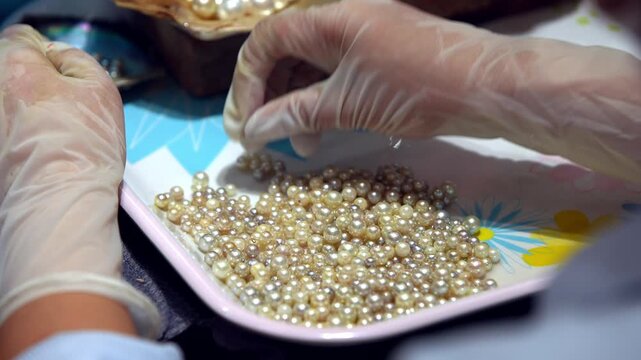 In a Vietnamese pearl farm, a woman hand touches a collection of beautiful and precious pearls on the table. The rich tradition of cultured pearl farming in Vietnam and the natural beauty sea gems.