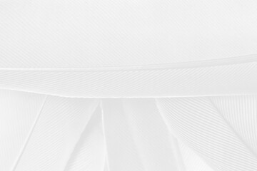 Gray white feather wooly pattern texture background