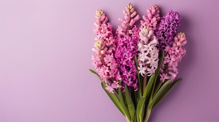 Fototapeta premium Bouquet of pink and lilac hyacinths on a lilac background