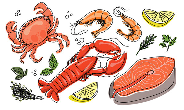 Seafood illustration vector set. Shrimp, salmon slice, crab, lobster. Hand drawn vector set
