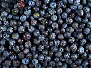 Fresh Blueberries Background