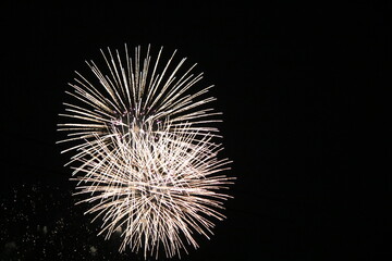 夏の夜空に輝く花火。海に映り、幻想的に輝き、人々の心を和ませます。