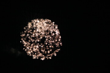 夏の夜空に輝く花火。海に映り、幻想的に輝き、人々の心を和ませます。