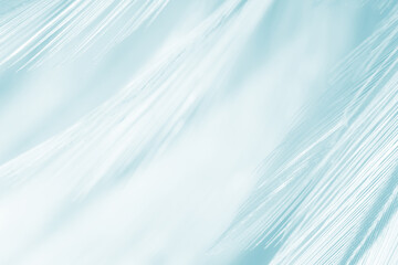 Beautiful green turquoise vintage color trends feather pattern texture background