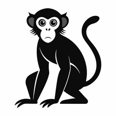 Monkey silhouettes on white background.