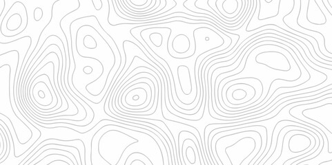 Seamless pattern with lines White wave paper curved reliefs abstract background, Abstract topographic contours map background. Abstract black and white topographic contours lines of mountains.