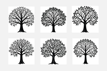 Obraz premium collection of trees