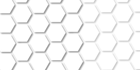 Abstract white background with hexagon and hexagonal background. Luxury white pattern with hexagons. abstract 3d hexagonal background with shadow. 3D futuristic abstract honeycomb mosaic background.