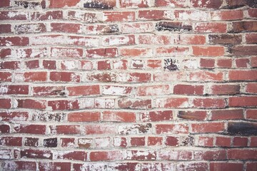 wall