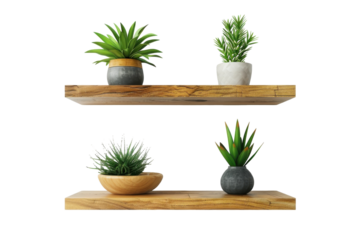 Rustic Wooden Shelves Displaying Lush Greenery in a Minimalist Interior Design