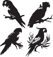 parrot icon, parrot vector,  parrot silhouette, 