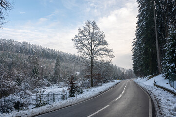 Fototapeta premium Snow landscape with trees, road and blue sky