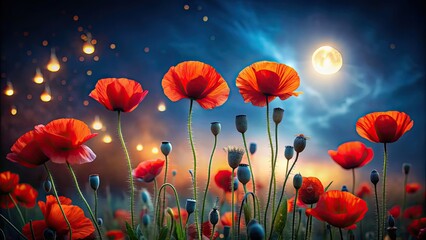 Obraz premium Beautiful poppies blooming in the night , flowers, poppies, night time, garden, nature, red, petals, darkness, moonlight