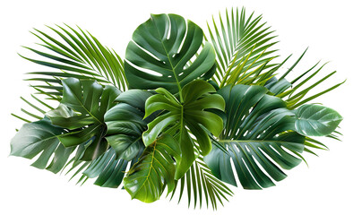 Lush green tropical plants bush, cut out