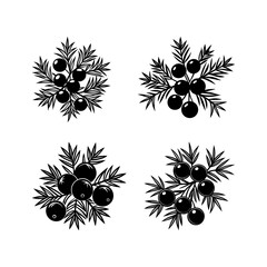 Juniper berry logo icons illustration