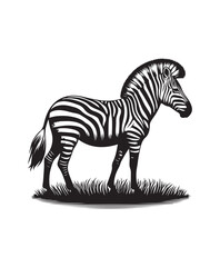 zebra vector art,graphics zebras icons set,vintage illustration zebra clipart,vector zebras flat style artwork design