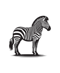 zebra vector art,graphics zebras icons set,vintage illustration zebra clipart,vector zebras flat style artwork design