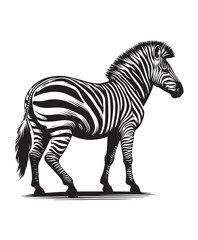 zebra vector art,graphics zebras icons set,vintage illustration zebra clipart,vector zebras flat style artwork design