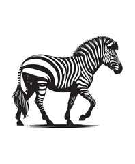 zebra vector art,graphics zebras icons set,vintage illustration zebra clipart,vector zebras flat style artwork design