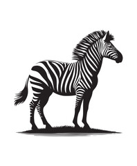 zebra vector art,graphics zebras icons set,vintage illustration zebra clipart,vector zebras flat style artwork design