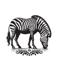 zebra vector art,graphics zebras icons set,vintage illustration zebra clipart,vector zebras flat style artwork design