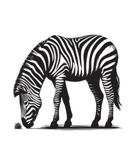 zebra vector art,graphics zebras icons set,vintage illustration zebra clipart,vector zebras flat style artwork design