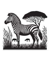 zebra vector art,graphics zebras icons set,vintage illustration zebra clipart,vector zebras flat style artwork design